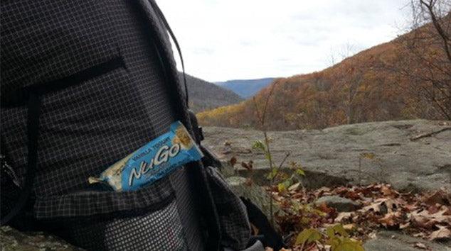 NuGo Hikes in Loyalsock State Forest