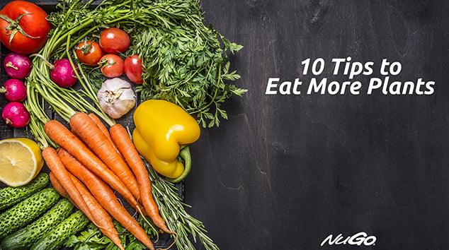 Plant-Based Diet for Cancer Survivors: 10 Tips to Eat More Plants