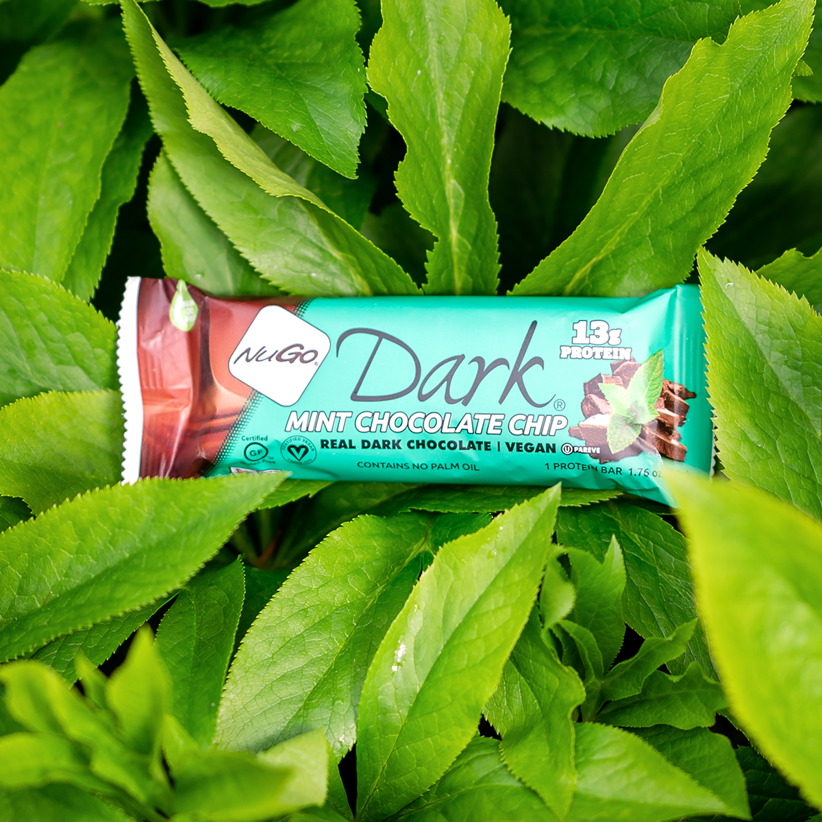 NuGo Dark Mint Chocolate Chip on Leaf background